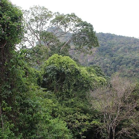 Mamallena Eco Lodge La Laguna de San Carlos Esterno foto