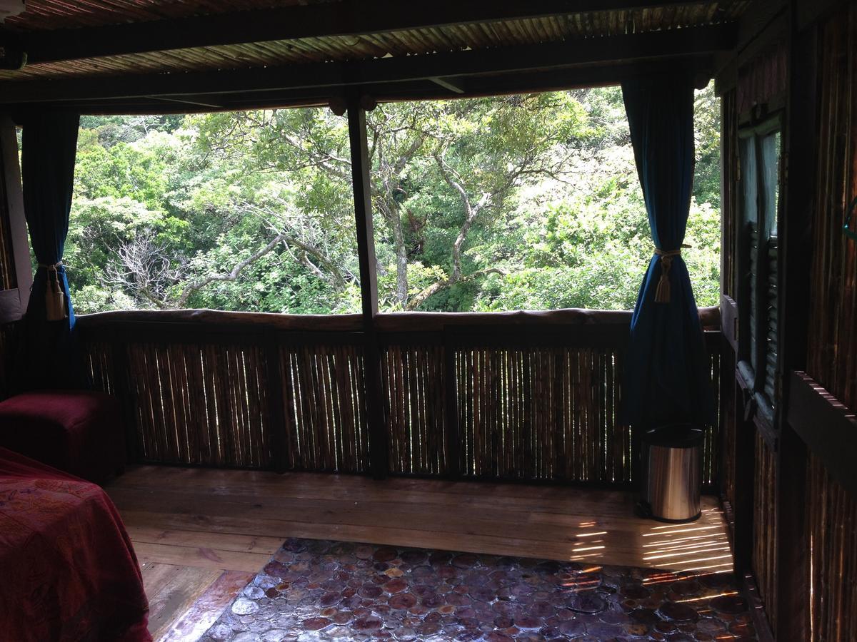 Mamallena Eco Lodge La Laguna de San Carlos Esterno foto